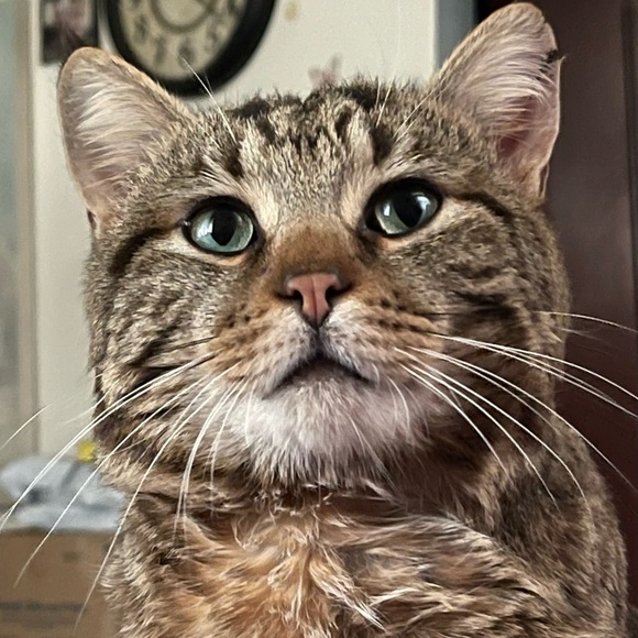 Live show listing - Picture 7 of 8